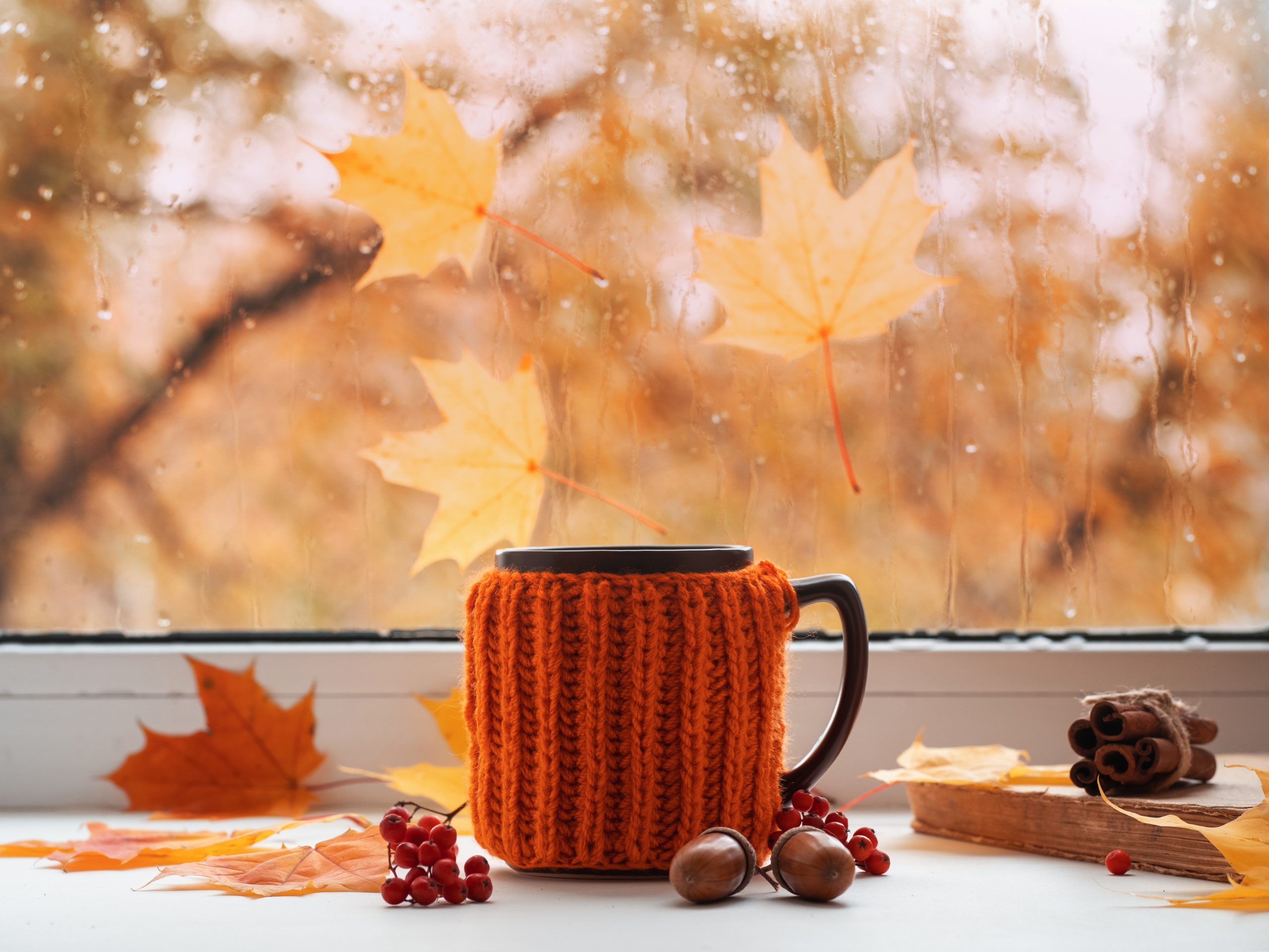 Hausmittel gegen Husten &#038; trockene Heizungsluft – Natürlich durch den Herbst